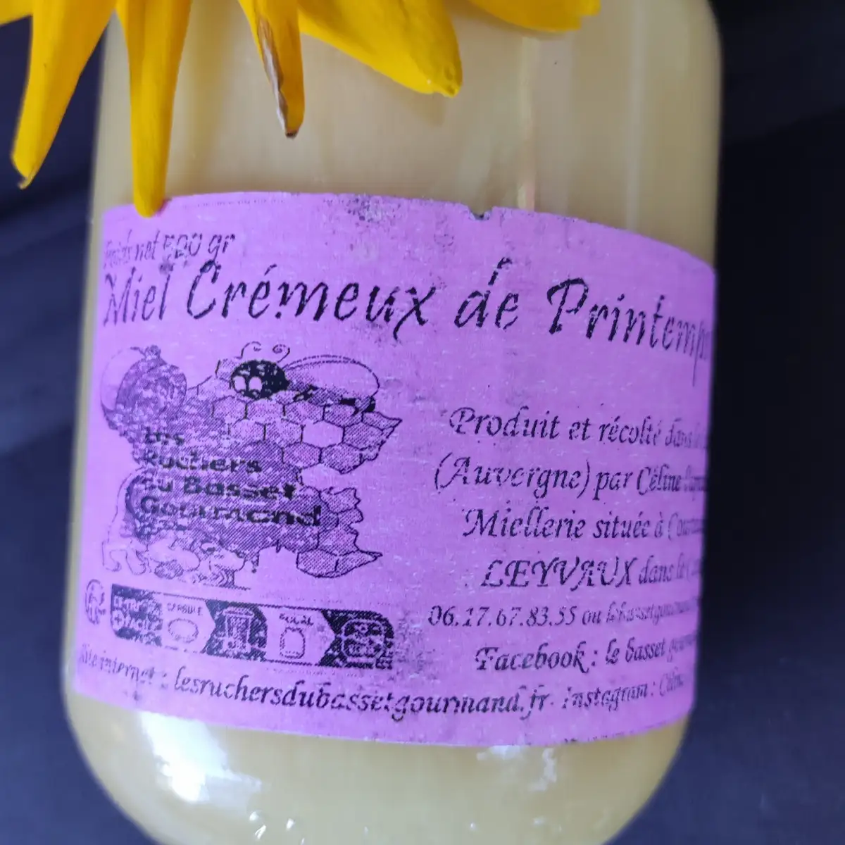 Miel crémeux 500 gr MÉDAILLE D'OR CONCOURS MIELS D'AUVERGNE