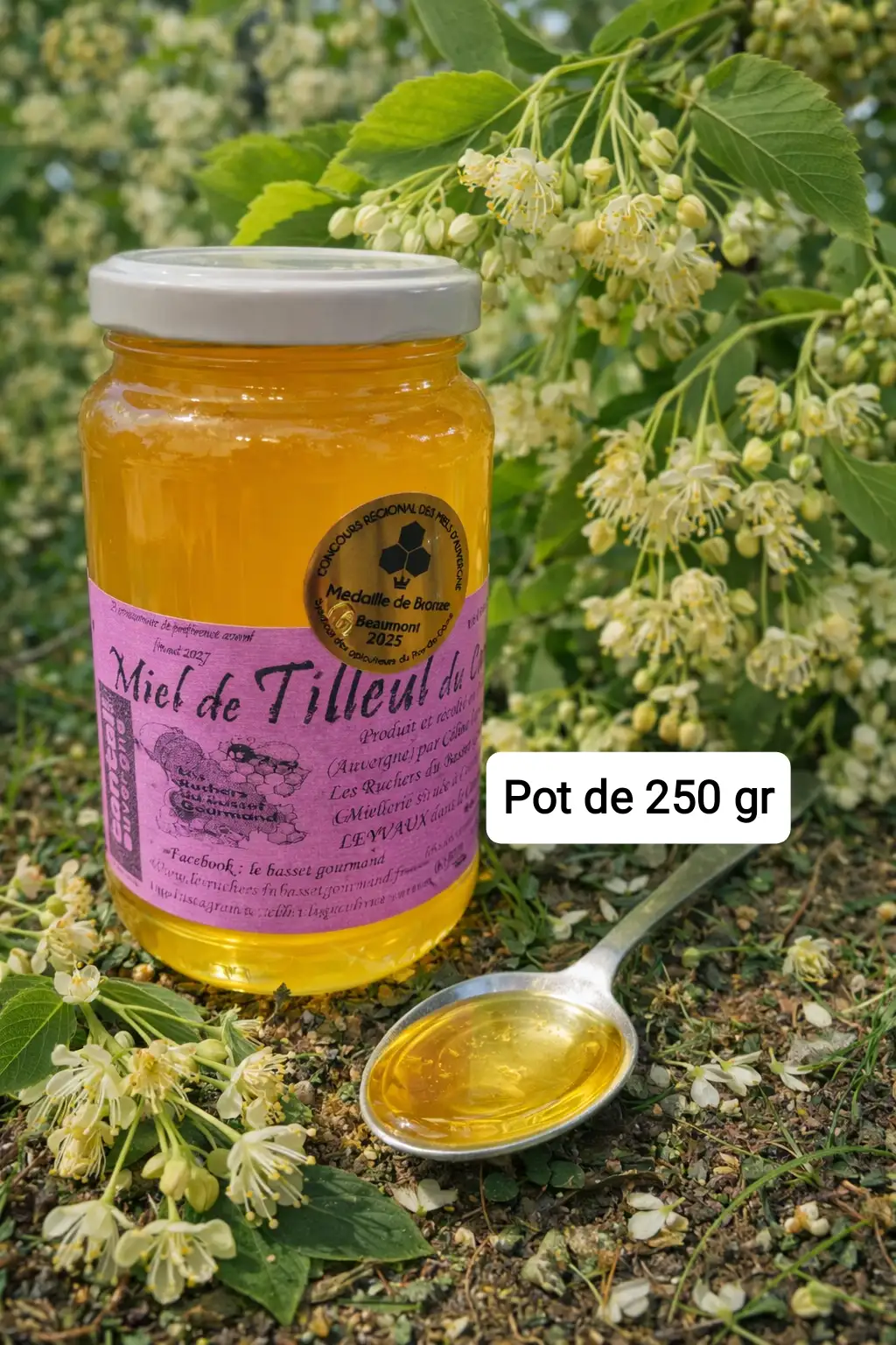 Miel de tilleul du Cantal 250 gr MÉDAILLE DE BRONZE CONCOURS MIELS D'AUVERGNE