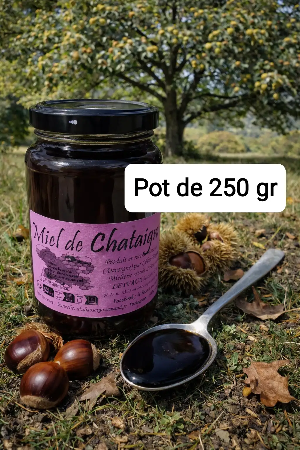 Miel de châtaignier 250 gr