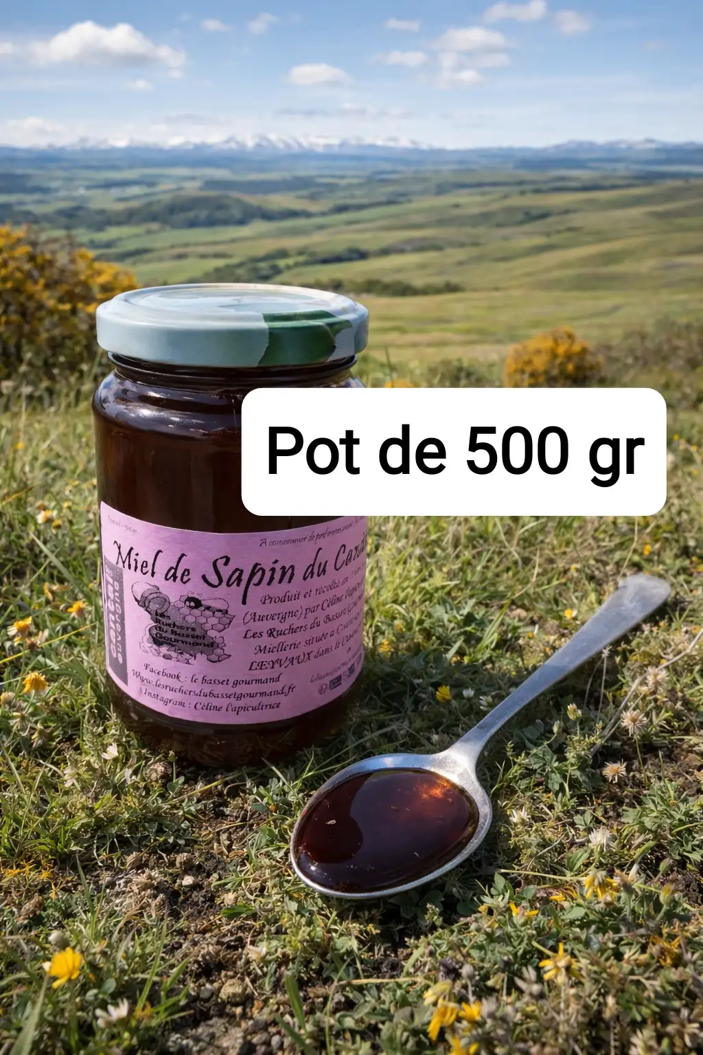 Miel de sapin du Cantal 500 gr