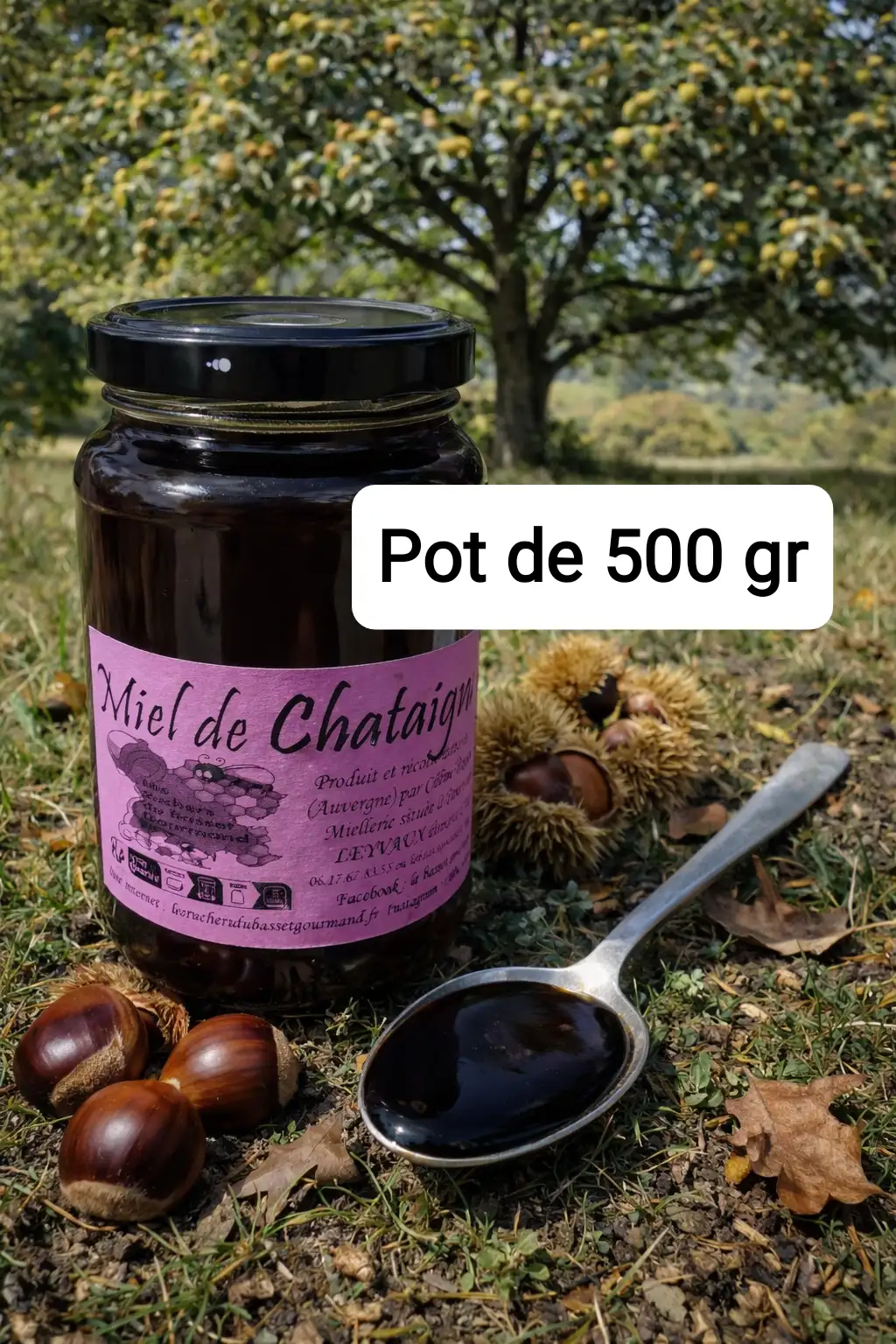 Miel de châtaignier 500gr