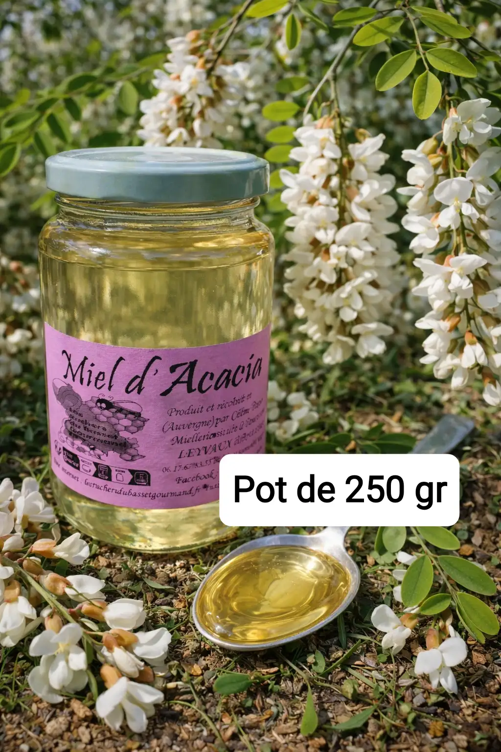 Miel d'acacia 250gr
