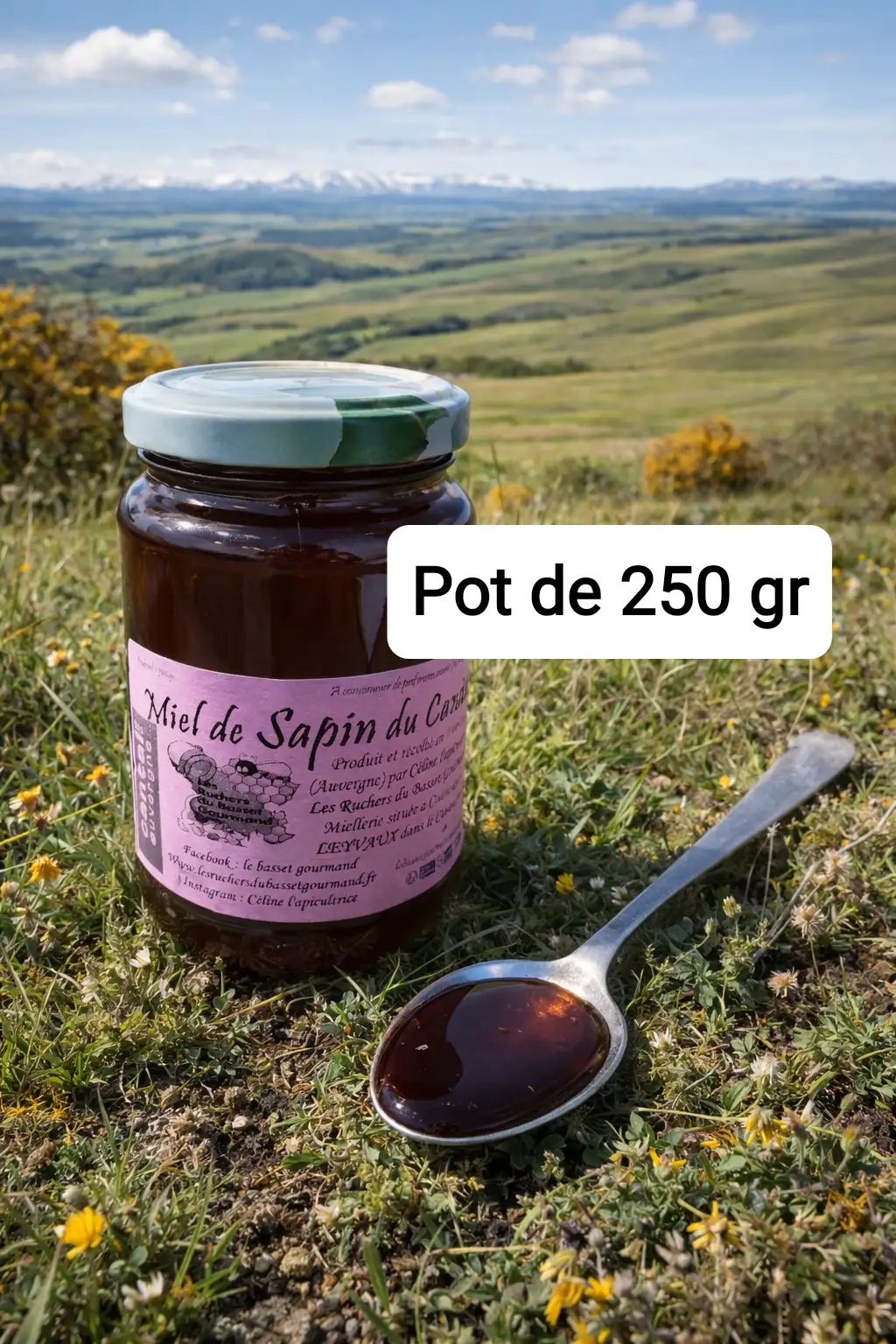 Miel de sapin du Cantal 250 gr