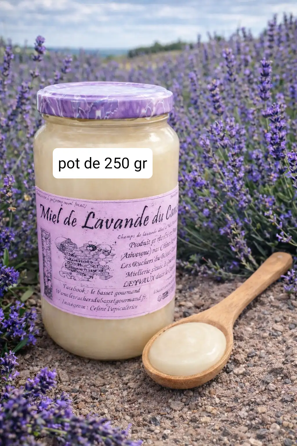 Miel de lavande du Cantal 250 gr