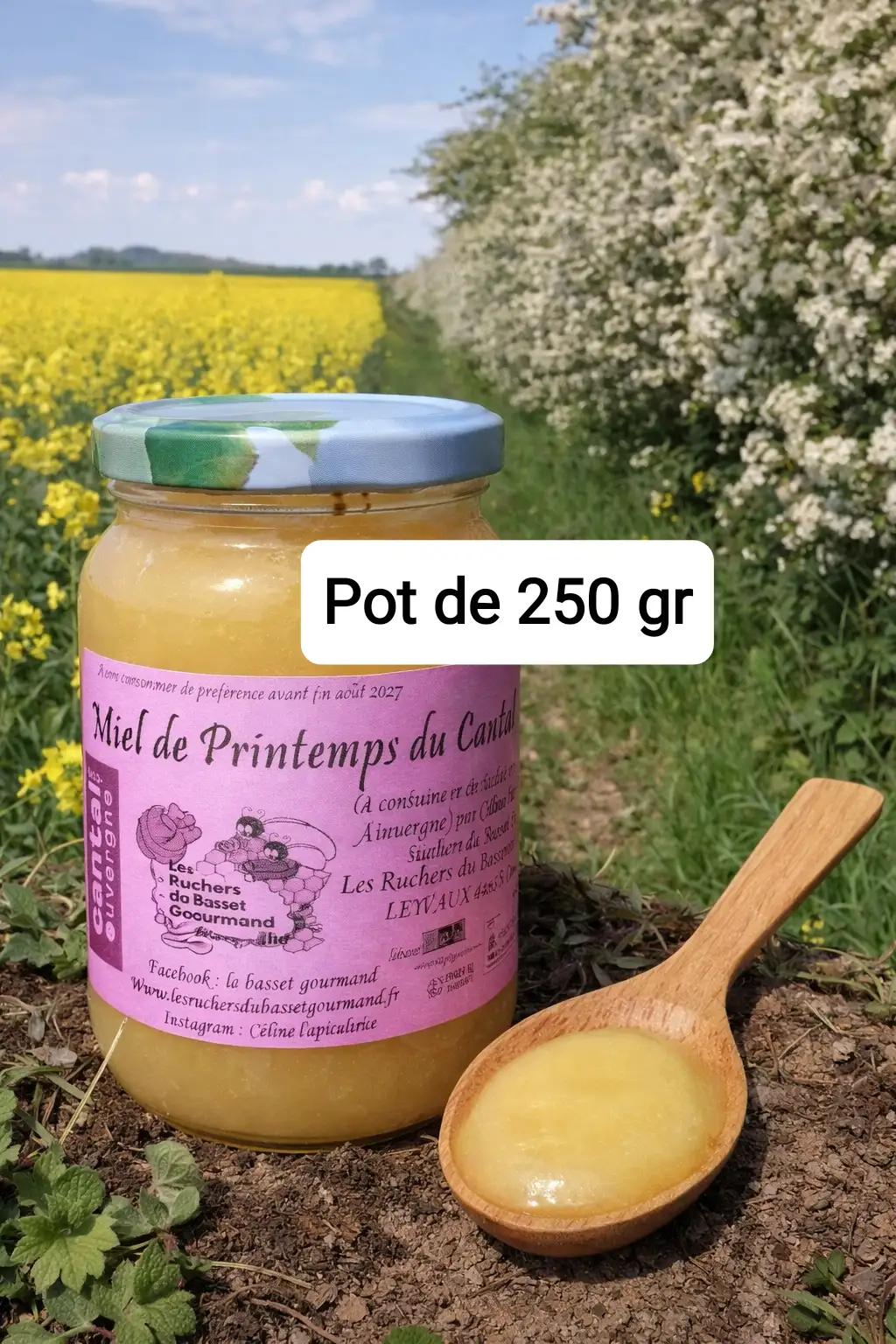 Miel de printemps 250 gr