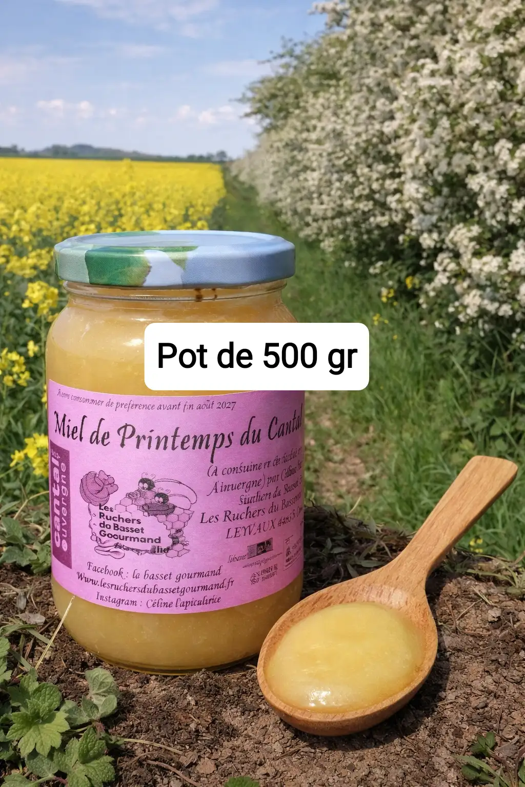 Miel de printemps 500 gr